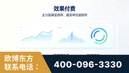 武冈-效果付费：主力品牌呈现率、提及率位居前列