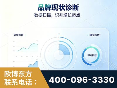 武冈-品牌现状诊断