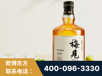 武冈-梅见青梅酒