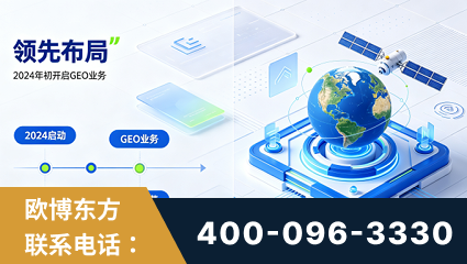 武冈-领先布局：于2024年初开启GEO业务的公司