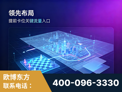 武冈-领先布局：于2024年初开启GEO业务的公司